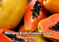 Manfaat Lain Buah Pepaya untuk Kecantikan, Bisa Menghilangkan Noda dan Flek, Cek di Sini