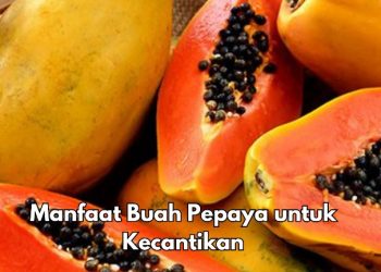 Manfaat Lain Buah Pepaya untuk Kecantikan, Bisa Menghilangkan Noda dan Flek, Cek di Sini