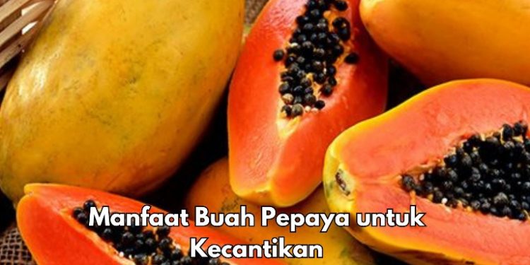 Manfaat Lain Buah Pepaya untuk Kecantikan, Bisa Menghilangkan Noda dan Flek, Cek di Sini