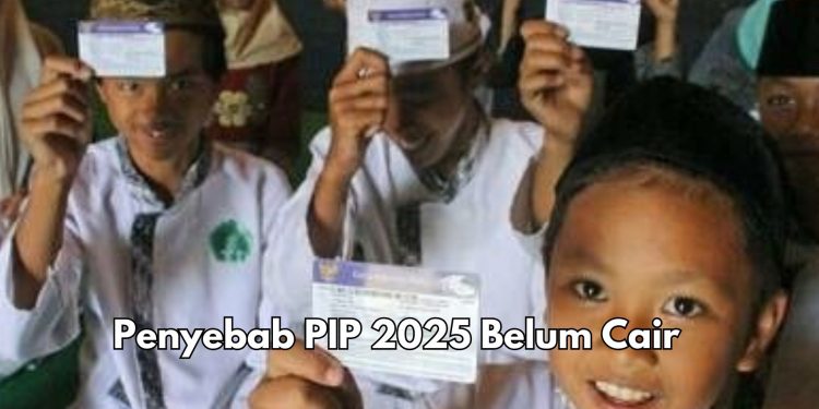 Penyebab Dana PIP 2025 Belum Cair, Cek di Sini! Pastikan Hal Ini