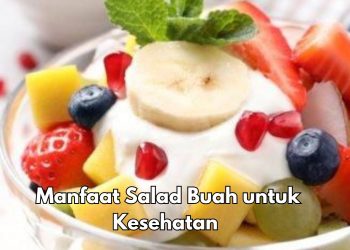 Ini 8 Manfaat Salad Buah untuk Dikonsumsi Sehari-hari, Bisa Membuat Kulit Terawat Alami