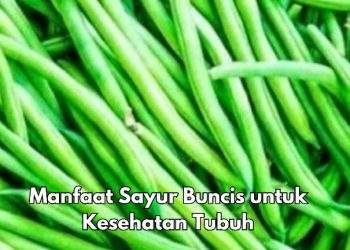 Bisa Mengurangi Gejala Depresi, Ini Manfaat Konsumsi Sayur Buncis Sehari-hari, Cek di Sini