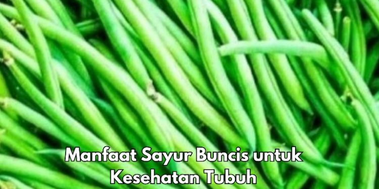 Bisa Mengurangi Gejala Depresi, Ini Manfaat Konsumsi Sayur Buncis Sehari-hari, Cek di Sini