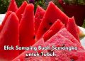 Konsumsi Buah Semangka Berlebihan Bisa Sebabkan Keracunan Air, Cek Efek Samping Lainnya di Sini