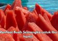 Buah Semangka Baik untuk Bumil, Cek Manfaat di Sini, Dapat Meredakan Morning Sickness