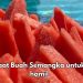 Buah Semangka Baik untuk Bumil, Cek Manfaat di Sini, Dapat Meredakan Morning Sickness