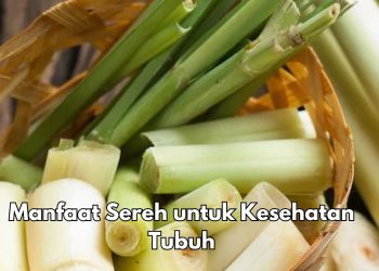 Manfaat Sereh bagi Kesehatan Tubuh, Bisa Meredakan Menstruasi, Cek Rinciannya di Sini