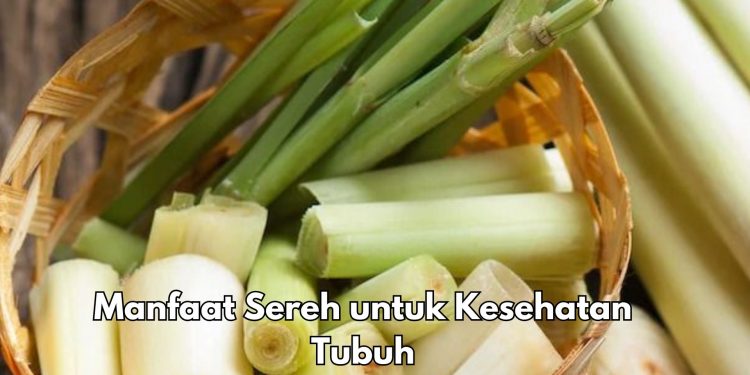 Manfaat Sereh bagi Kesehatan Tubuh, Bisa Meredakan Menstruasi, Cek Rinciannya di Sini