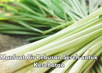 Cek di Sini, Manfaat Air Rebusan Sereh untuk Kesehatan Tubuh, Bisa Menurunkan Kadar Kolesterol