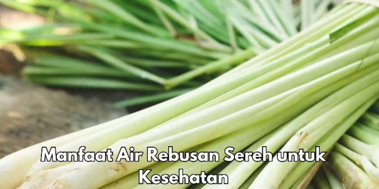 Cek di Sini, Manfaat Air Rebusan Sereh untuk Kesehatan Tubuh, Bisa Menurunkan Kadar Kolesterol