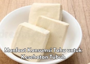 Cek Sekarang, Ini 7 Manfaat Konsumsi Tahu bagi Tubuh, Dapat Turunkan Kolesterol