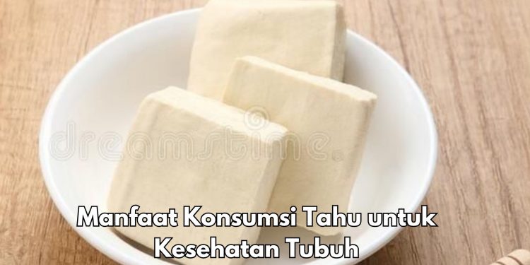 Cek Sekarang, Ini 7 Manfaat Konsumsi Tahu bagi Tubuh, Dapat Turunkan Kolesterol