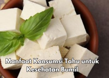 Dapat Membantu Perkembangan Janin, Ini Manfaat Konsumsi Tahu bagi Ibu Hamil, Cukup Konsumsi Rutin