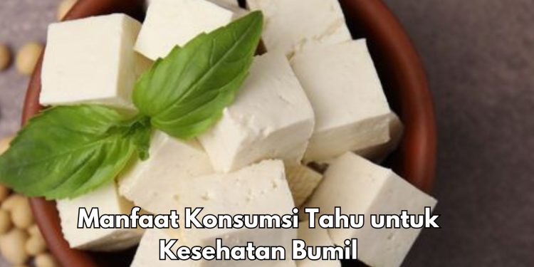 Dapat Membantu Perkembangan Janin, Ini Manfaat Konsumsi Tahu bagi Ibu Hamil, Cukup Konsumsi Rutin