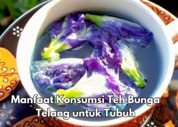 Cek 7 Manfaat Konsumsi Teh Bunga Telang Sehari-hari, Baik untuk Perawatan Kulit Wajah