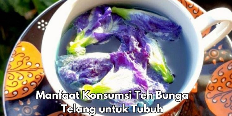 Cek 7 Manfaat Konsumsi Teh Bunga Telang Sehari-hari, Baik untuk Perawatan Kulit Wajah