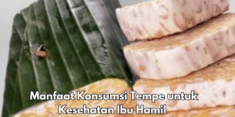 Cek 7 Manfaat Tempe untuk Kesehatan Ibu Hamil, Ampuh Mencegah Sembelit