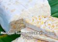 Cek Manfaat Konsumsi Tempe bagi Kesehatan di Sini, Dipercaya Baik untuk Nafsu Makan