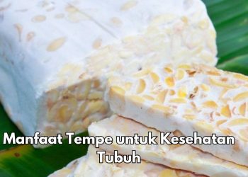 Cek Manfaat Konsumsi Tempe bagi Kesehatan di Sini, Dipercaya Baik untuk Nafsu Makan