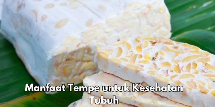 Cek Manfaat Konsumsi Tempe bagi Kesehatan di Sini, Dipercaya Baik untuk Nafsu Makan