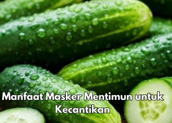 Masker Mentimun Dapat Mengurangi Iritasi Kulit, Cek Manfaat Lainnya di Sini!
