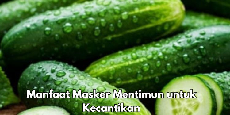 Masker Mentimun Dapat Mengurangi Iritasi Kulit, Cek Manfaat Lainnya di Sini!