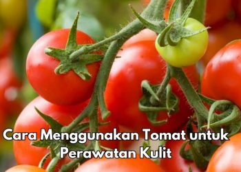 5 Cara Gunakan Tomat untuk Perawatan Kulit, Bisa Menghilangkan Jerawat