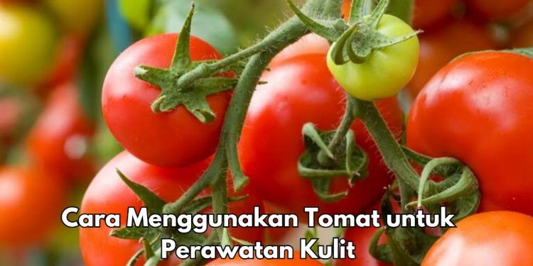 5 Cara Gunakan Tomat untuk Perawatan Kulit, Bisa Menghilangkan Jerawat