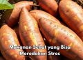 Cek 6 Makanan Sehat Ini, Bisa Meredakan Stres, Konsumsi Sehari-hari