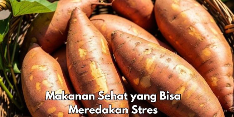 Cek 6 Makanan Sehat Ini, Bisa Meredakan Stres, Konsumsi Sehari-hari