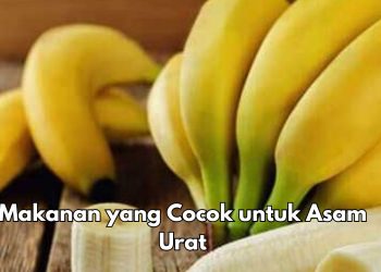 Punya Asam Urat? Ini 5 Jenis Makanan yang Direkomendasikan untuk Kesehatan