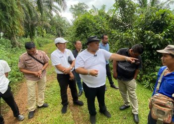 Normalisasi Air Slebang Mulai Mengairi Sawah, Bupati Bengkulu Selatan Pastikan Keluhan Warga Ditindaklanjuti