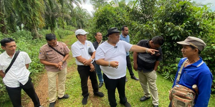 Normalisasi Air Slebang Mulai Mengairi Sawah, Bupati Bengkulu Selatan Pastikan Keluhan Warga Ditindaklanjuti