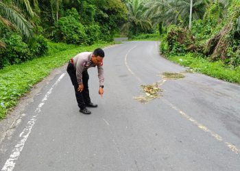 Senggol Mobil Kijang, Pengendara Honda Sonic Tewas Ditempat
