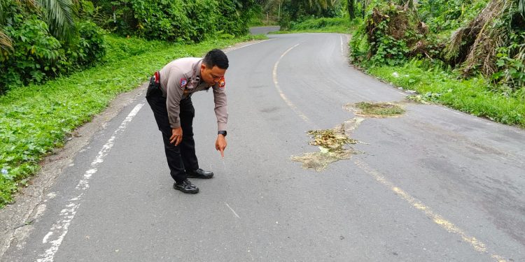 Senggol Mobil Kijang, Pengendara Honda Sonic Tewas Ditempat