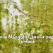 Susah Hilangkan Jamur di Tembok yang Membandel? Coba Gunakan 5 Cara Ini, Salah Satunya dengan Cuka Putih