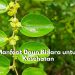 Cek Disini 7 Manfaat Utama Daun Bidara untuk Kesehatan, Ternyata Ampuh Obati Sariawan