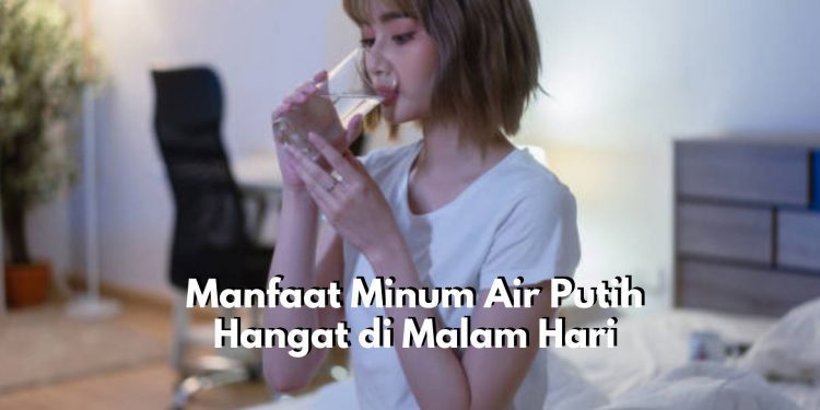 Biasakan Mulai dari Sekarang! Ini Dia Manfaat Minum Air Putih Hangat di Malam Hari, Ampuh Tingkatkan Kualitas Tidur