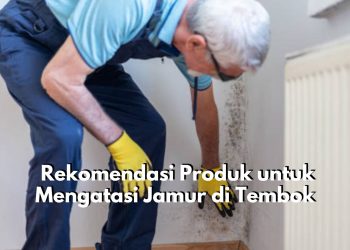 5 Produk Ini Bisa Kamu Gunakan untuk Atasi Jamur Pada Tembok, Apa Saja? Cek Disini!