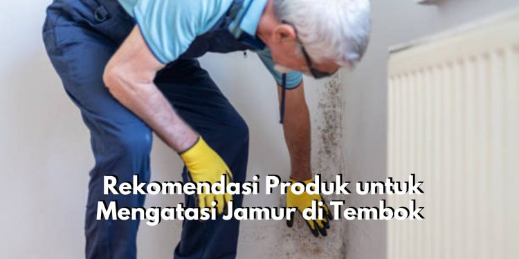 5 Produk Ini Bisa Kamu Gunakan untuk Atasi Jamur Pada Tembok, Apa Saja? Cek Disini!