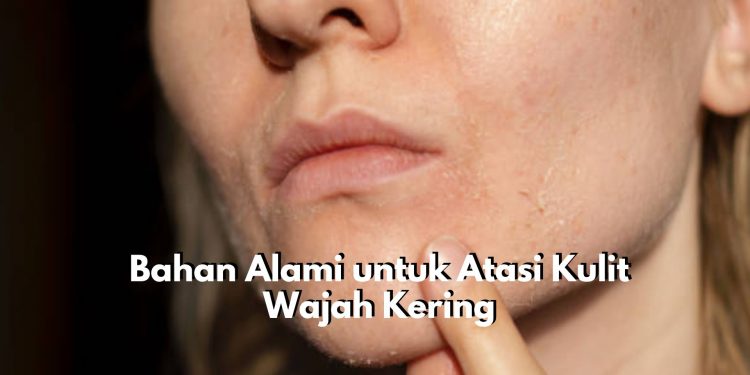 Cukup Gunakan Cara Alami! Ini Dia Segudang Cara untuk Atasi Kulit Wajah Kering, Ada Masker Lidah Buaya hingga Minyak Kelapa