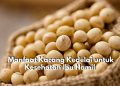 Baik Dikonsumsi! Inilah 7 Manfaat Kacang Kedelai untuk Kesehatan Ibu Hamil, Dapat Kurangi Risiko Keguguran