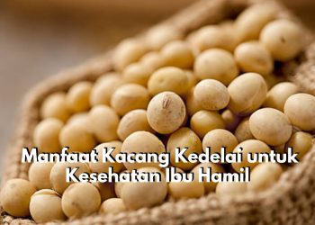 Baik Dikonsumsi! Inilah 7 Manfaat Kacang Kedelai untuk Kesehatan Ibu Hamil, Dapat Kurangi Risiko Keguguran