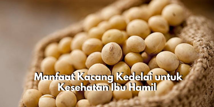 Baik Dikonsumsi! Inilah 7 Manfaat Kacang Kedelai untuk Kesehatan Ibu Hamil, Dapat Kurangi Risiko Keguguran