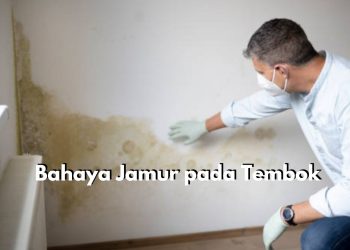 Jangan di Abaikan! Ini 6 Bahaya Jamur pada Tembok, Dapat Memicu Reaksi Alergi hingga Keracunan