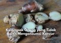 Memicu Dampak Berbahaya Bagi Kesehatan! Inilah 5 Kelompok Orang yang Dilarang Konsumsi Kencur, Siapa Saja?