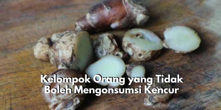 Memicu Dampak Berbahaya Bagi Kesehatan! Inilah 5 Kelompok Orang yang Dilarang Konsumsi Kencur, Siapa Saja?