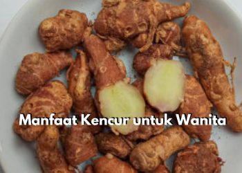 Baik untuk Wanita, Cek Disini 6 Manfaat Istimewa Tanaman Kencur untuk Kesehatan Wanita, Tak Terkecuali Atasi Nyeri Haid