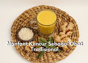 Kerap Digunakan Sebagai Bahan Alami Pengobatan, Inilah 5 Khasiat Tanaman Kencur Sebagai Obat Tradisional