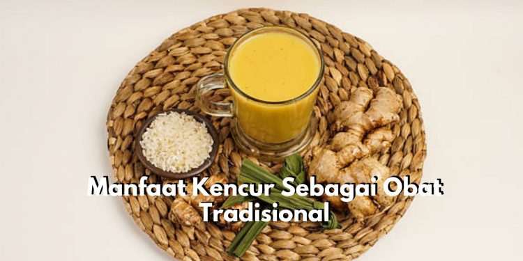 Kerap Digunakan Sebagai Bahan Alami Pengobatan, Inilah 5 Khasiat Tanaman Kencur Sebagai Obat Tradisional